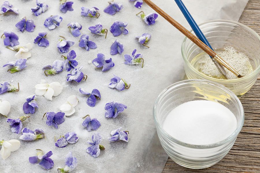 Still Life Photograph - Making candied violets #1 by Elena Elisseeva