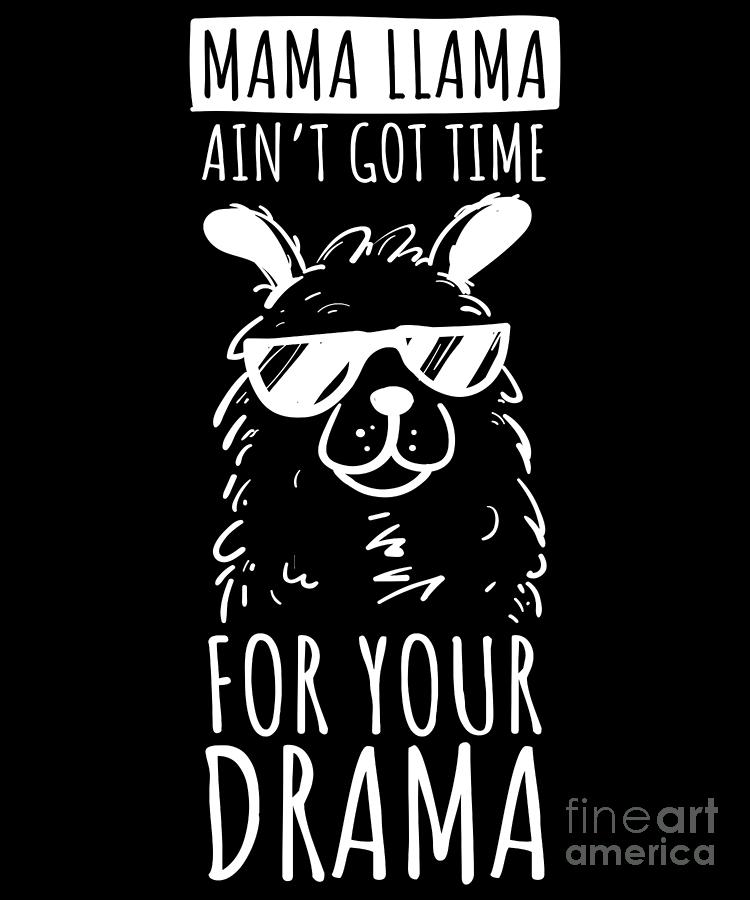 Mama Llama Ain’t Got Time For Your Drama Funny Llama Design Mug Great Gift 
