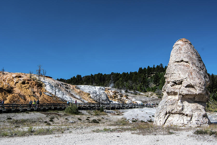 Mammoth Springs Scenery At Yellostone Wyoming #1 Photograph by Alex Grichenko
