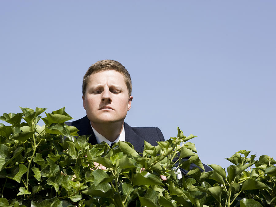 Man Looking Over A Hedge #1 Photograph by Nicole Hill