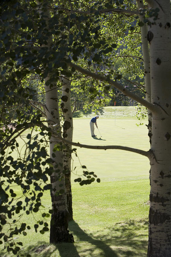 Man playing golf #1 Photograph by Comstock Images