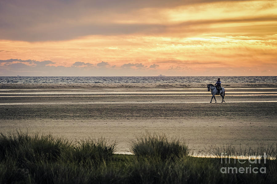 Man riding a Andalusian horse during sunset #1 Photograph by Perry Van Munster