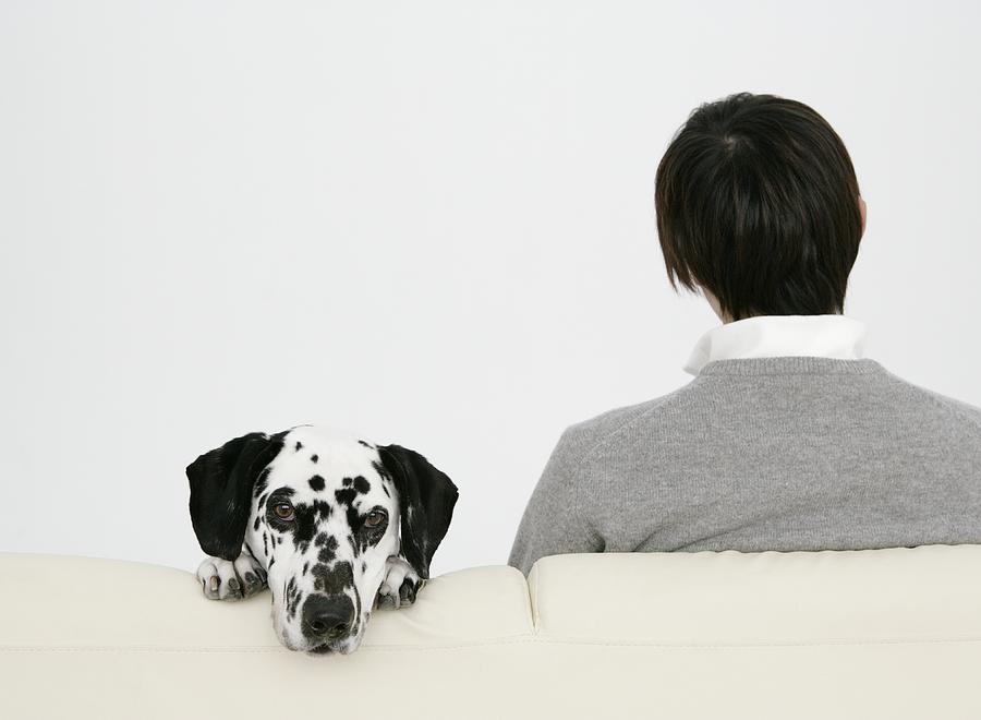 Man sitting sofa with dalmatian #1 Photograph by SAKIstyle
