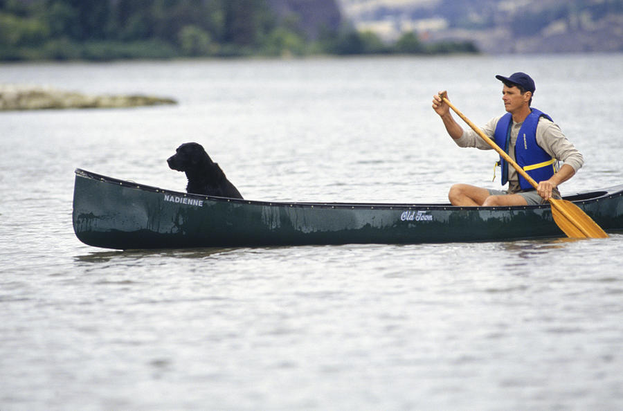 Man with dog canoeing on lake #1 Photograph by Photodisc