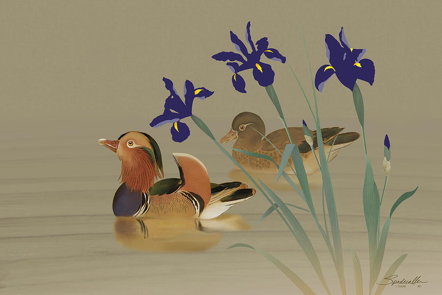  Mandarin Ducks and Irises Digital Art by M Spadecaller