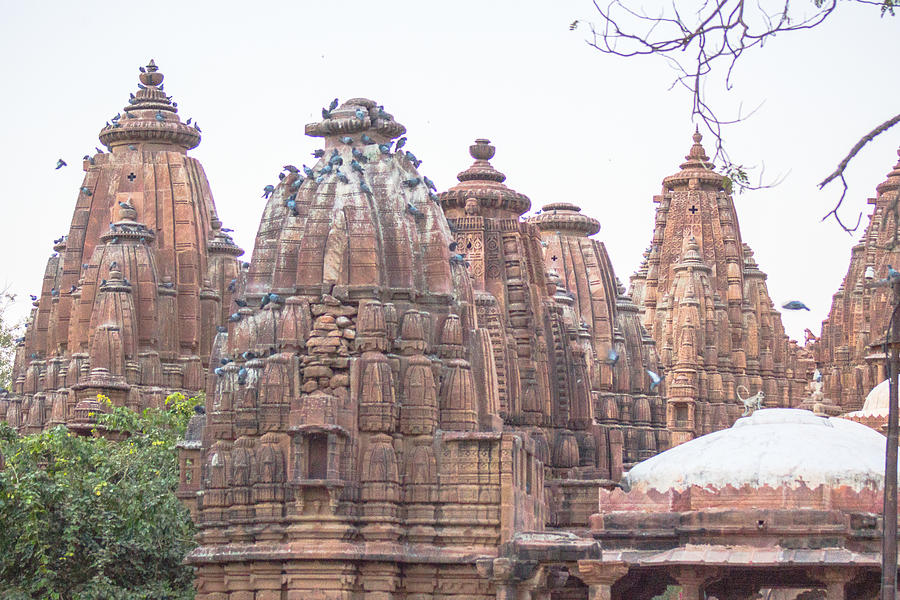 Mandore Garden Temples and Cenotaphs | Jodhpur | Rajasthan | India #1 Photograph by (c) HADI ZAHER