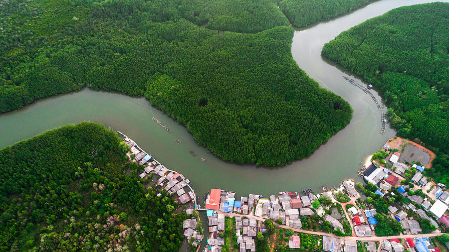 Mangrove  forest  and river #1 Photograph by Somnuk Krobkum
