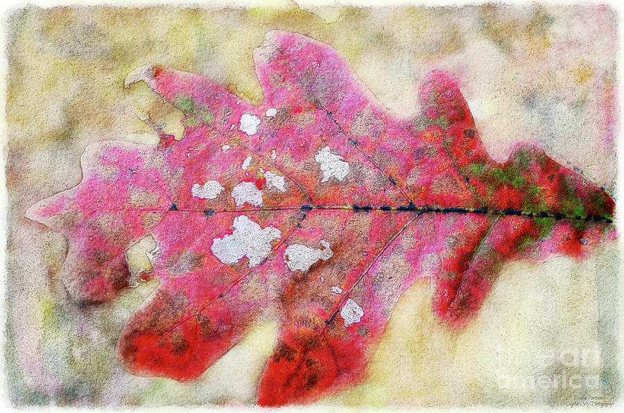 Many Autumn Leaves 15c #1 Mixed Media by Debbie Portwood