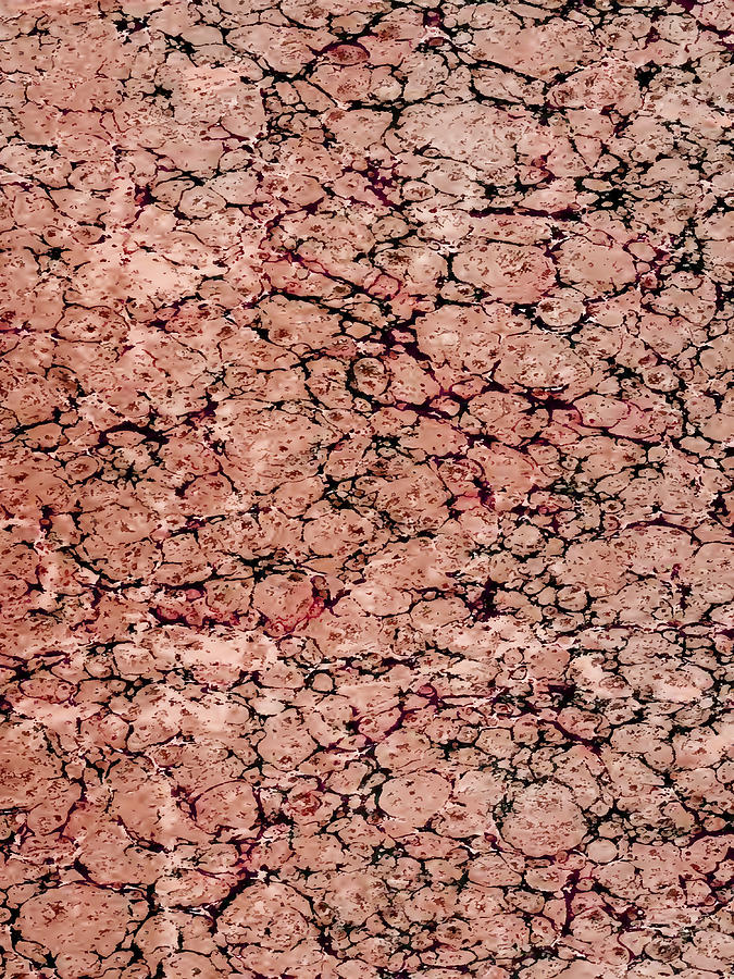 Marbleized Vintage Book Endpaper Light Red #1 Mixed Media by Lorena Cassady