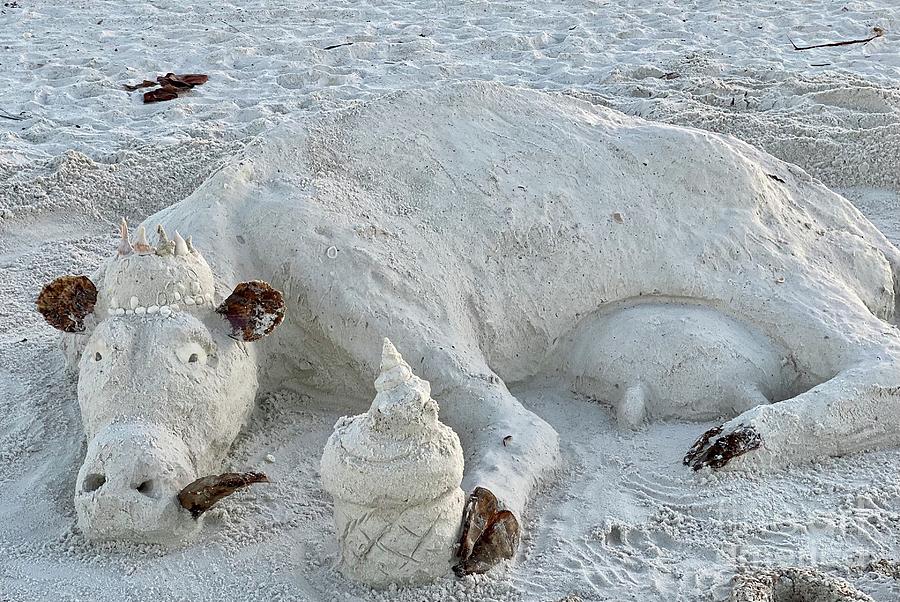 Marco Island Sand Cow - Dairy Queen Photograph by Judee Stalmack - Fine ...