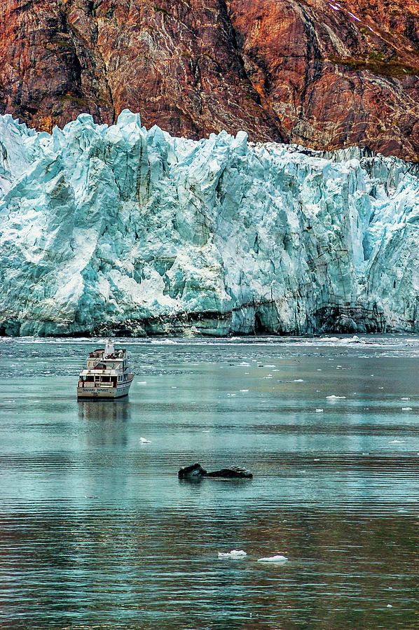 Margerie Glacier, Alaska, USA #1 Photograph by Mark Llewellyn