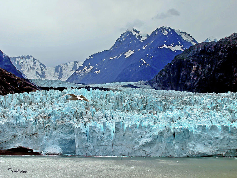 Margerie Glacier Photograph by David Salter - Fine Art America