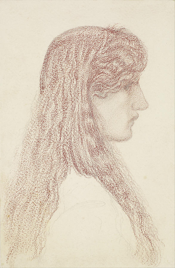 Maria Zambaco, Profile Study #2 Drawing by Edward Burne-Jones