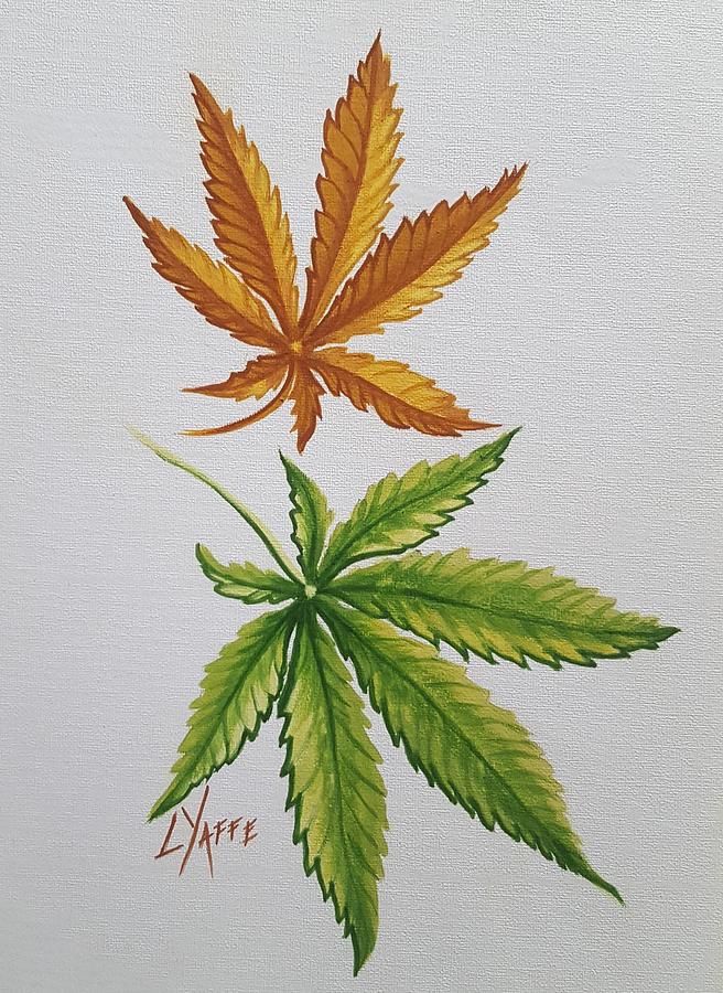 Marijuana Leaves #1 Painting by Loraine Yaffe