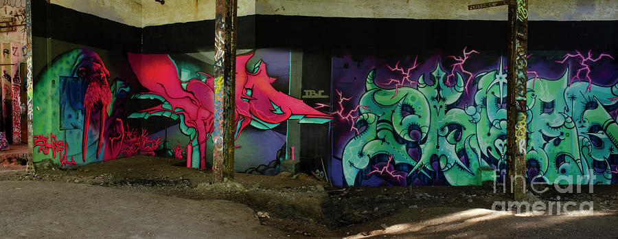 Masters Of Graffiti 12 Photograph by Bob Christopher