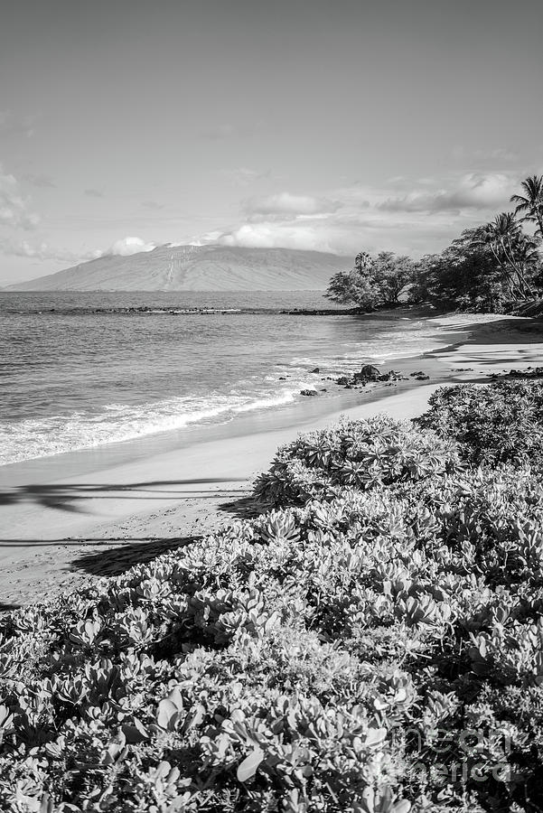 Maui Hawaii Ulua Beach Black and White Photo Photograph by Paul Velgos ...