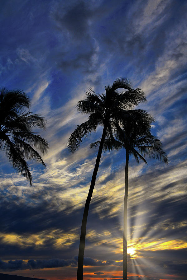 Maui Sunrays Photograph