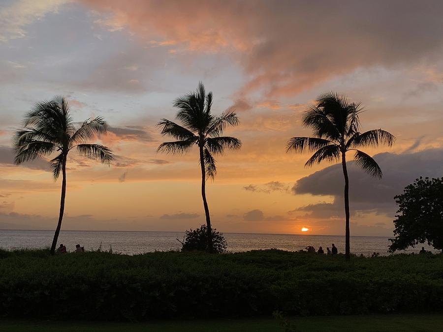 Maui Sunset #1 Photograph by Cindy McIntyre