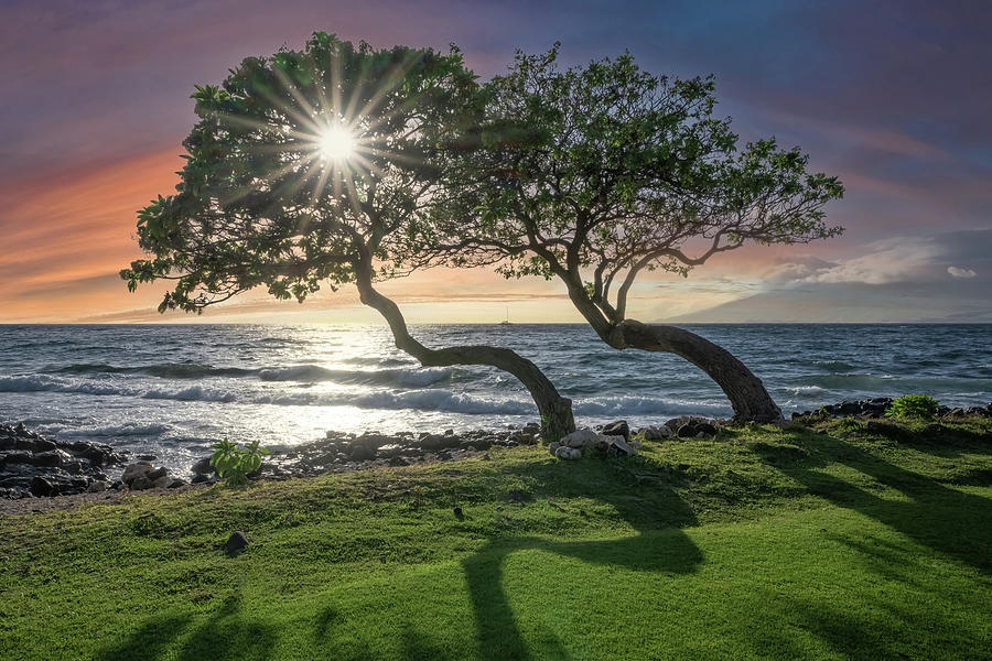 Nature Photograph - Maui Sunset  #1 by Steve Berkley