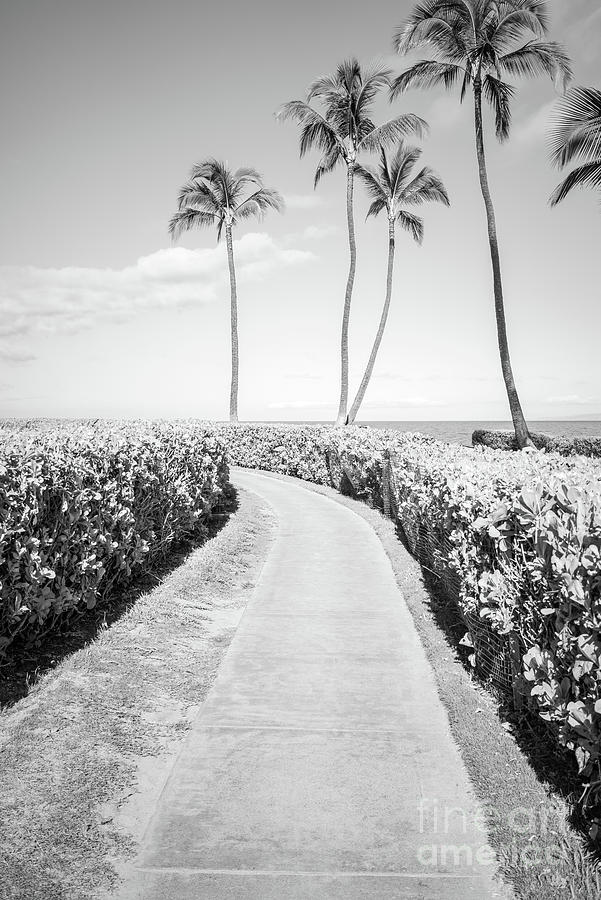 Maui Wailea Beach Path Black and White Photo #1 Photograph by Paul Velgos