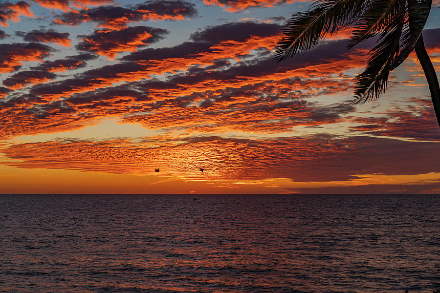 Mazatlan Epic Sunsets #1 Photograph by Tommy Farnsworth