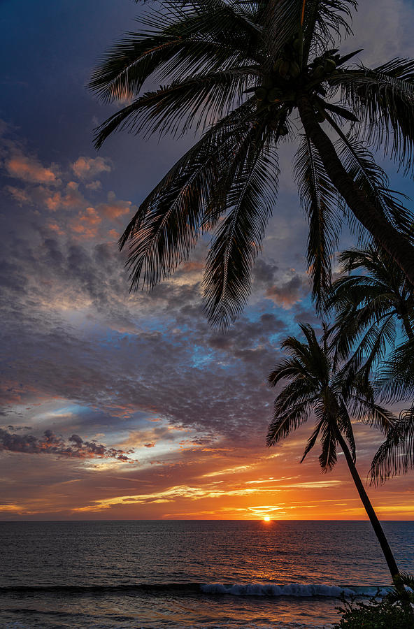 Mazatlan Sunsets  #1 Photograph by Tommy Farnsworth