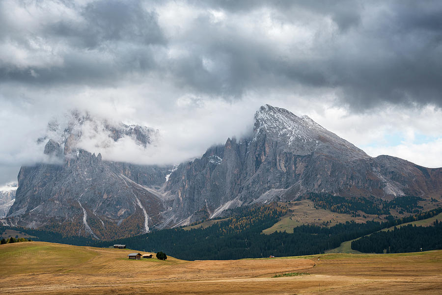 Meadow field and the Dolomiti rocky peaks Alpe di siusi Seiser Alm Italy #1 Photograph by Michalakis Ppalis