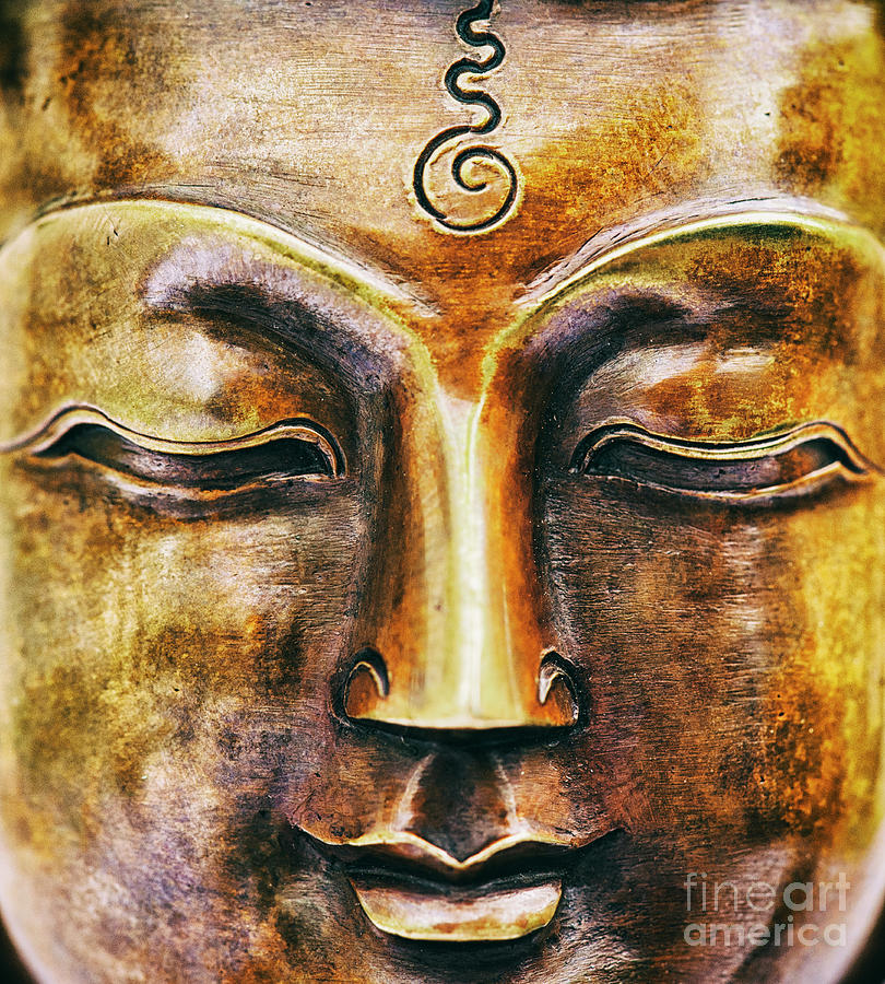 Medicine Buddha #1 Photograph by Tim Gainey