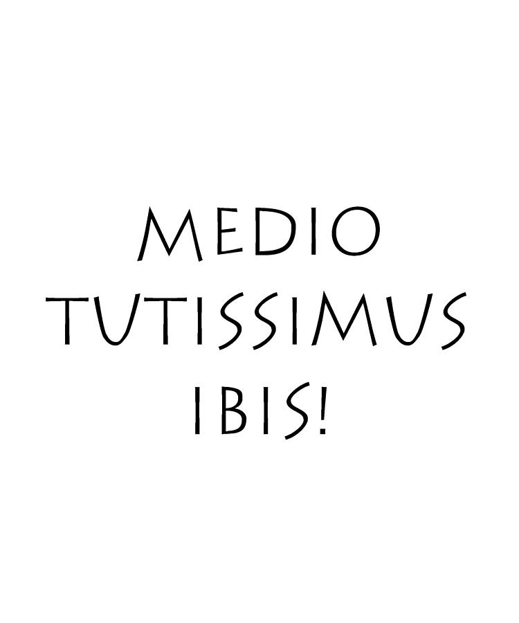 Medio tutissimus ibis Digital Art by Vidddie Publyshd Fine Art America