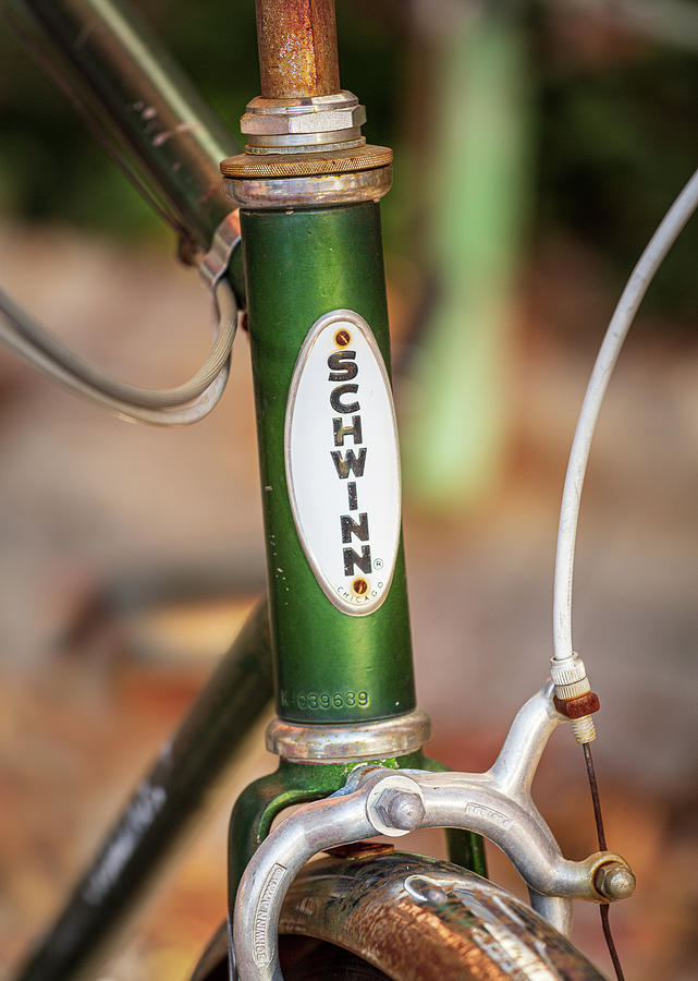 Memories of youth with Schwinn bike frame #2 Photograph by Steven Heap