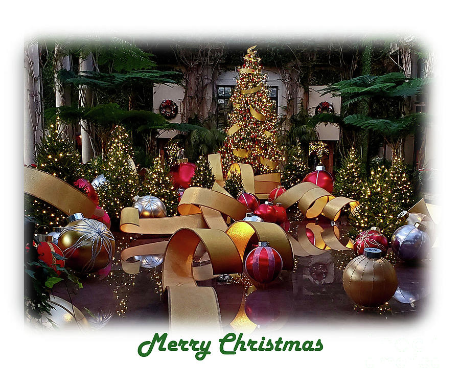 Merry Christmas #1 Photograph by Cindy Manero