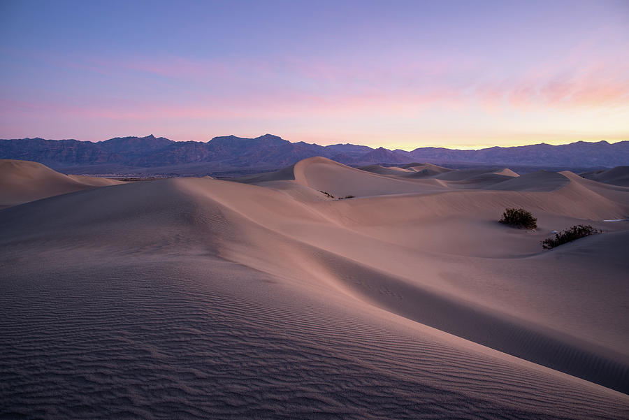 Mesquite Dunes Sunrise #1 Photograph by Dean Ginther