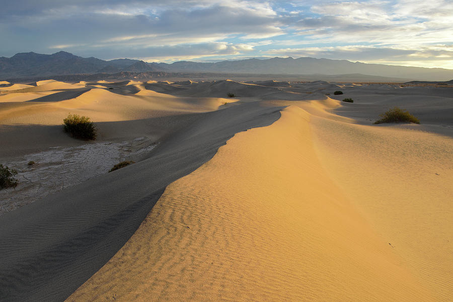 Mesquite Flat Sand Dunes at sunrise,  Death Valley, California #1 Photograph by Kevin Oke