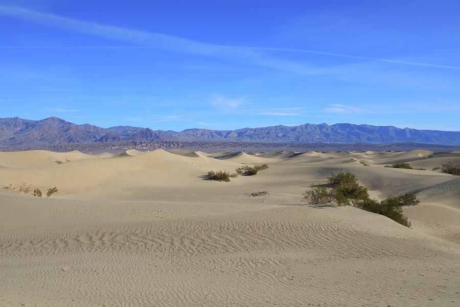 Mesquite Flat Sand Dunes #1 Photograph by Jonathan Babon