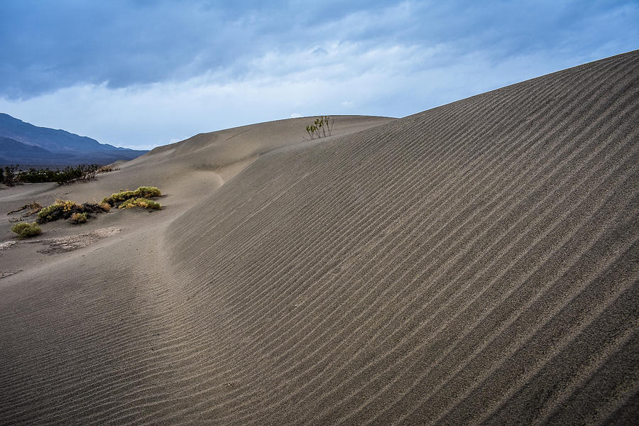 Death Valley Sand Dunes  Photograph by Kyle Hanson