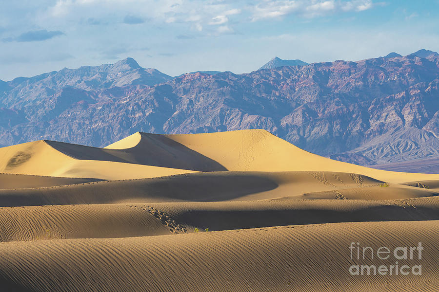 Mesquite Sand Dunes in Death Valley #1 Photograph by Hanna Tor
