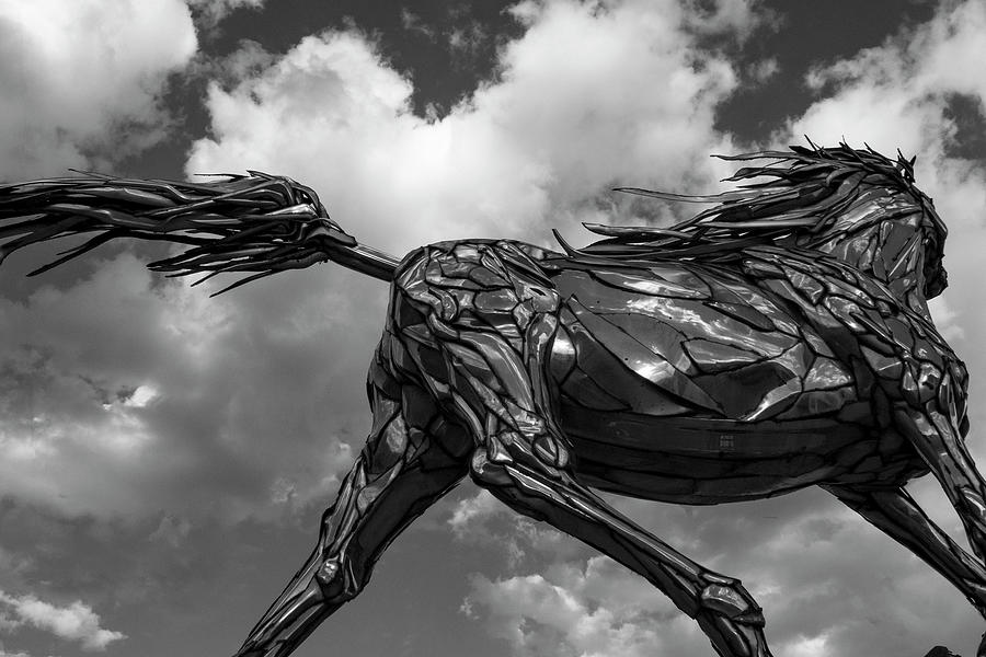 Metal Horse Photograph by Gregg Crow Fine Art America