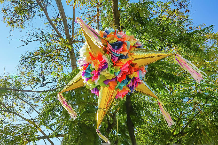 Mexican Pinata Oaxaca Mexico #1 by William Perry