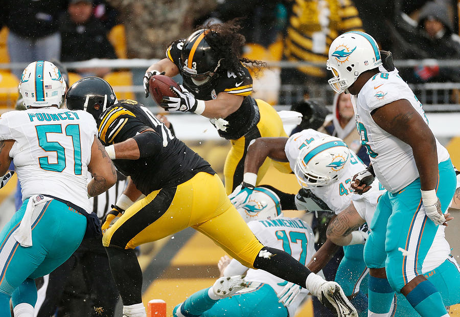 Miami Dolphins v Pittsburgh Steelers #1 Photograph by Gregory Shamus