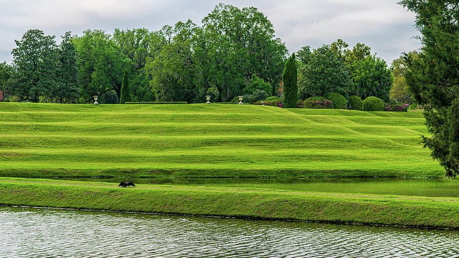 Middleton Plantation Landscape #1 Photograph by Louis Dallara