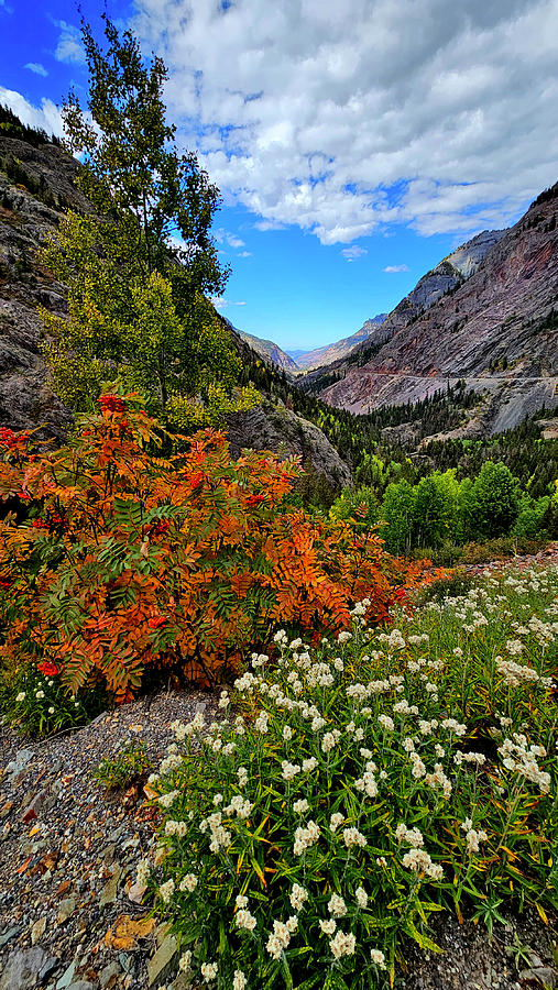 Million Dollar Highway Fall Color #1 Photograph by Ray Mathis