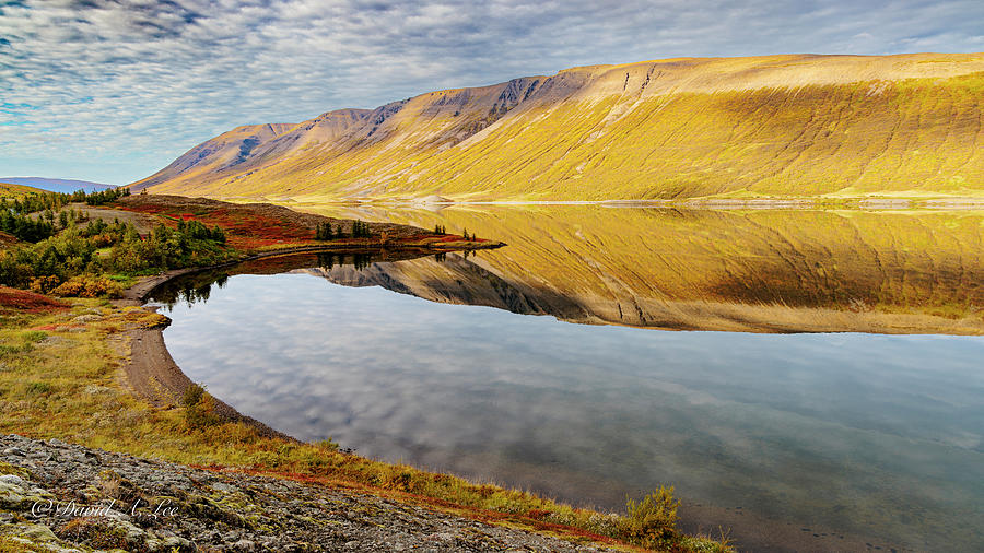 Mirror Lake #1 Photograph by David Lee