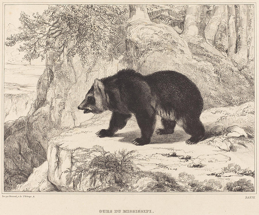 Bear Painting - Mississippi Bear  #1 by Antoine Louis Barye