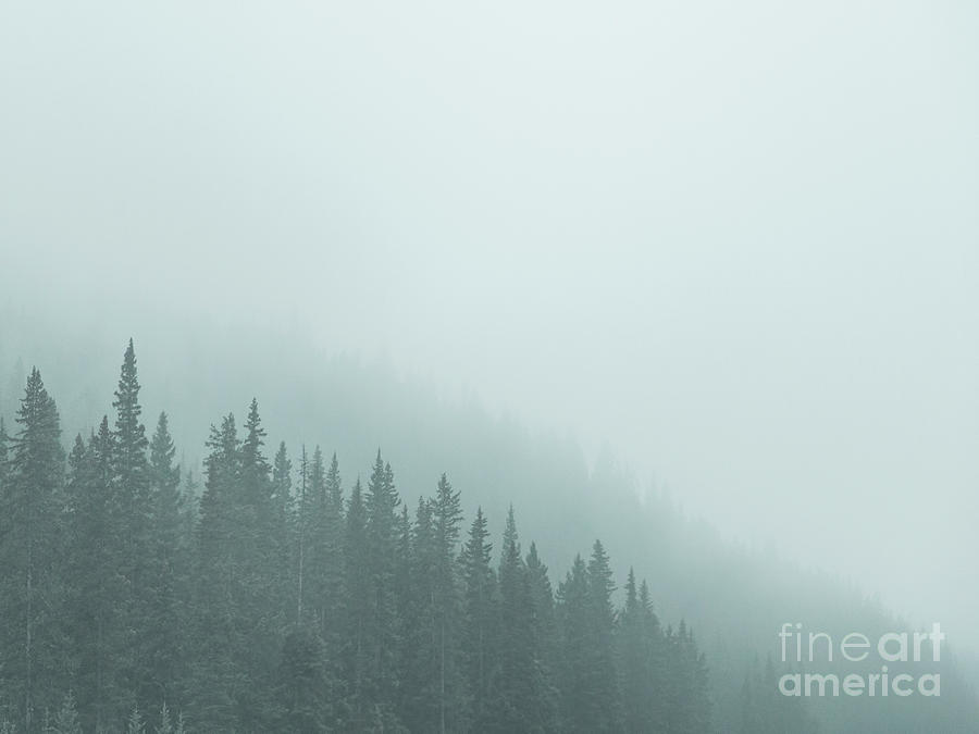 Mist On The Morning Hills #1 Photograph by Evelina Kremsdorf