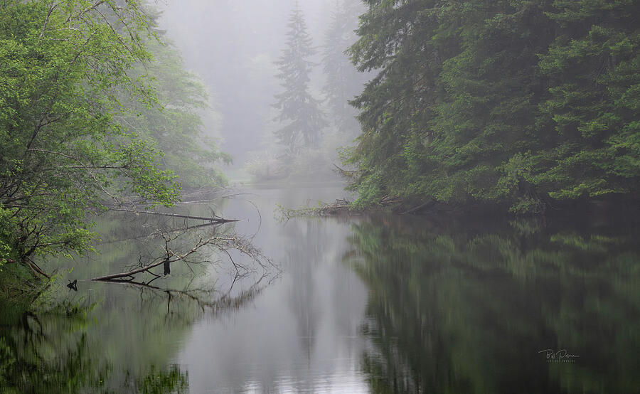 Misty Lake Reflections #1 Photograph by Bill Posner Misty Lake Reflections #1 Photograph by Bill Posner
