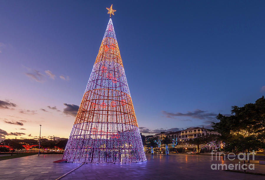 Modern Christmas tree sculpture, Funchal, Madeira #1 Photograph by Neale And Judith Clark