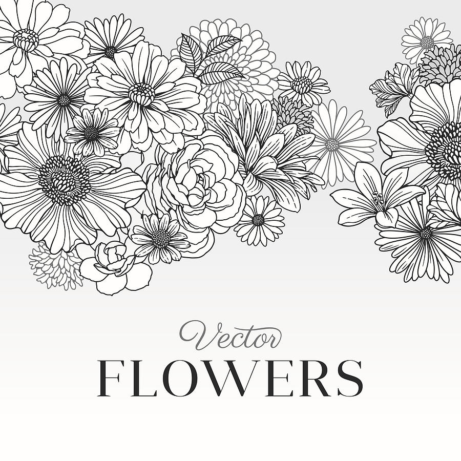 Modern Graphic Flowers #1 Drawing by Aleksandarvelasevic