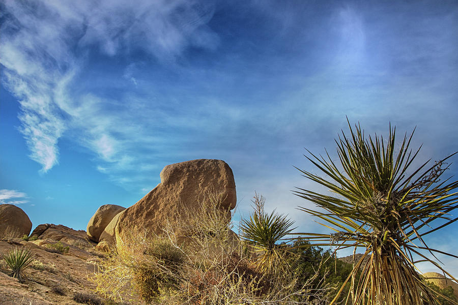Mojave blues #1 Photograph by Kunal Mehra