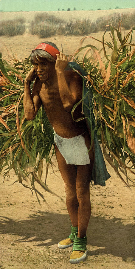Moki Farmer #1 Photograph by Underwood Archives