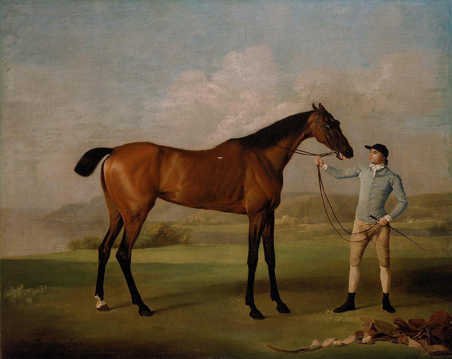 George Stubbs Painting - Molly Long legs with her Jockey  #1 by George Stubbs